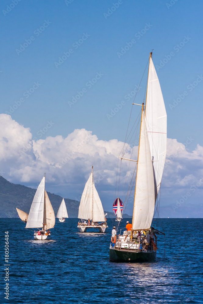 Fototapeta premium Catamarans and monohulls sailing