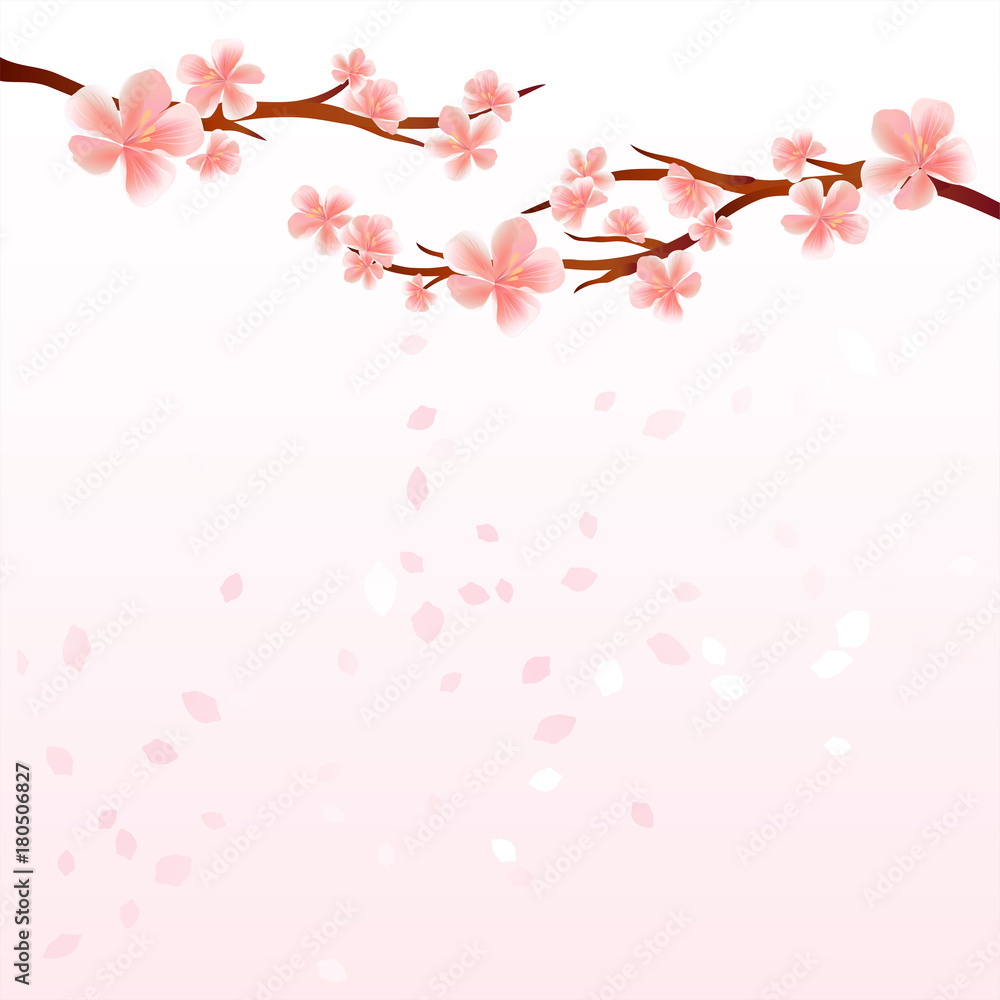 Branches of Sakura with Pink flowers and flying petals isolated on light Pink gradient background. Apple-tree flowers. Cherry blossom. Vector