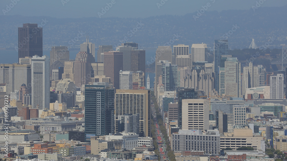 Fototapeta premium Mirador Twin Peaks, San Francisco, California, USA