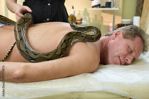 Python on mature man naked back. Snake therapy in spa salon. Modern prcedure of health rehabilitation.