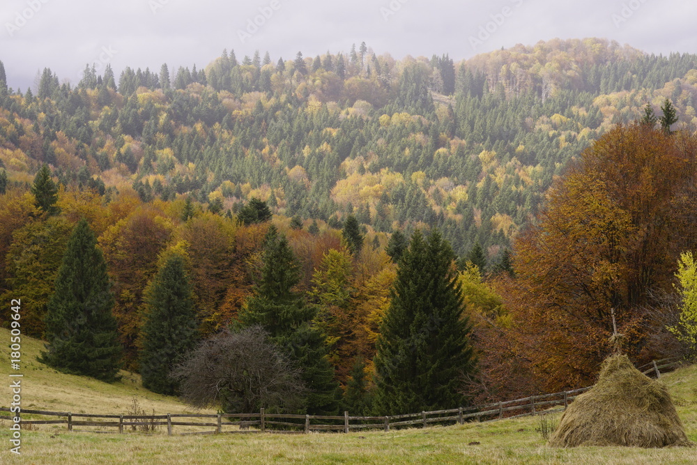 nature nature