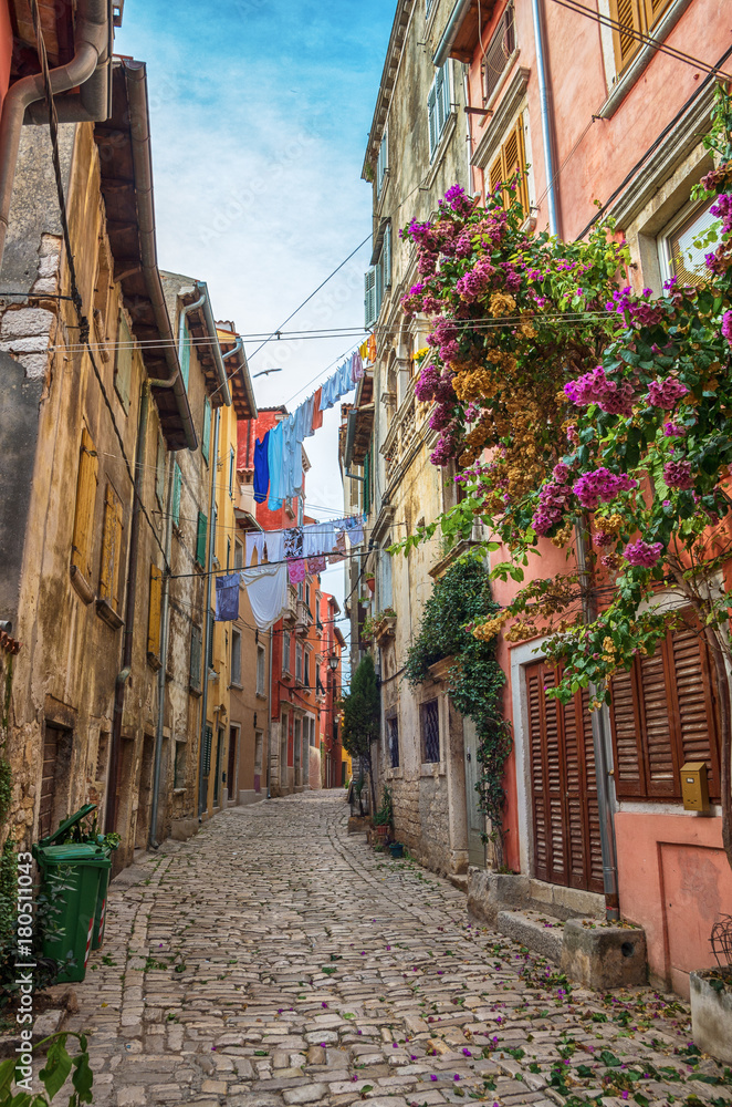Obraz premium Romantyczna ulica Rovinj. Idylliczna ulica ze starymi domami w miejscowości Rovinj, Istria, Chorwacja