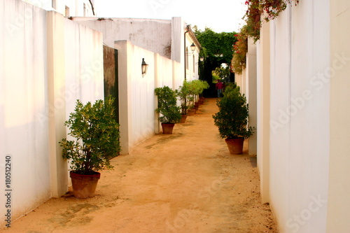 Fototapeta Naklejka Na Ścianę i Meble -  Jerez de la Frontera ( Andalucia, España)