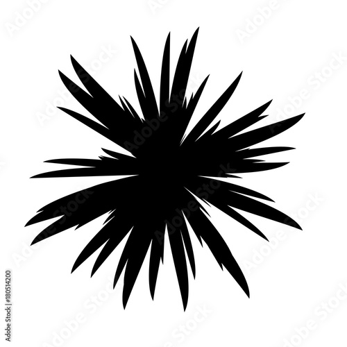 Black and White Flowers Silhouette