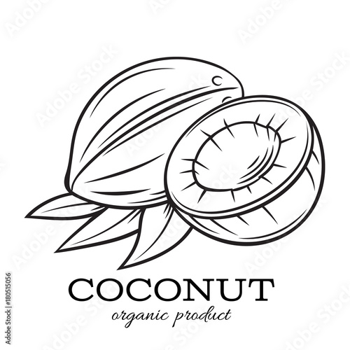 Fototapeta Hand drawn coconut icon.
