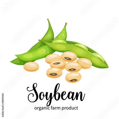 soybean in cartoon style