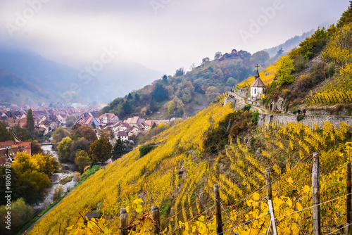 Alsace vineyards in autumn, Thann, France photo