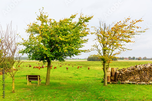 rural landscape at the Lieper Winkel, Usedom, Germany photo