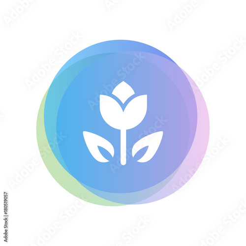 Minimalist Icon Design