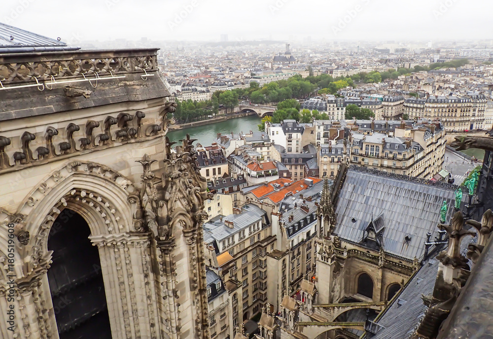 Paris Cityscape from top of Notre Dame