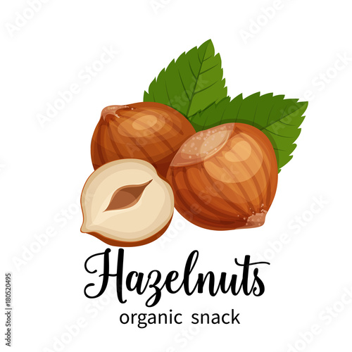 hazelnut in cartoon style