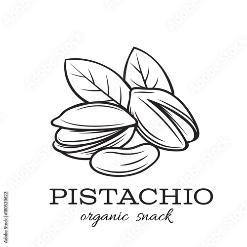 hand drawn pistachio nuts photo