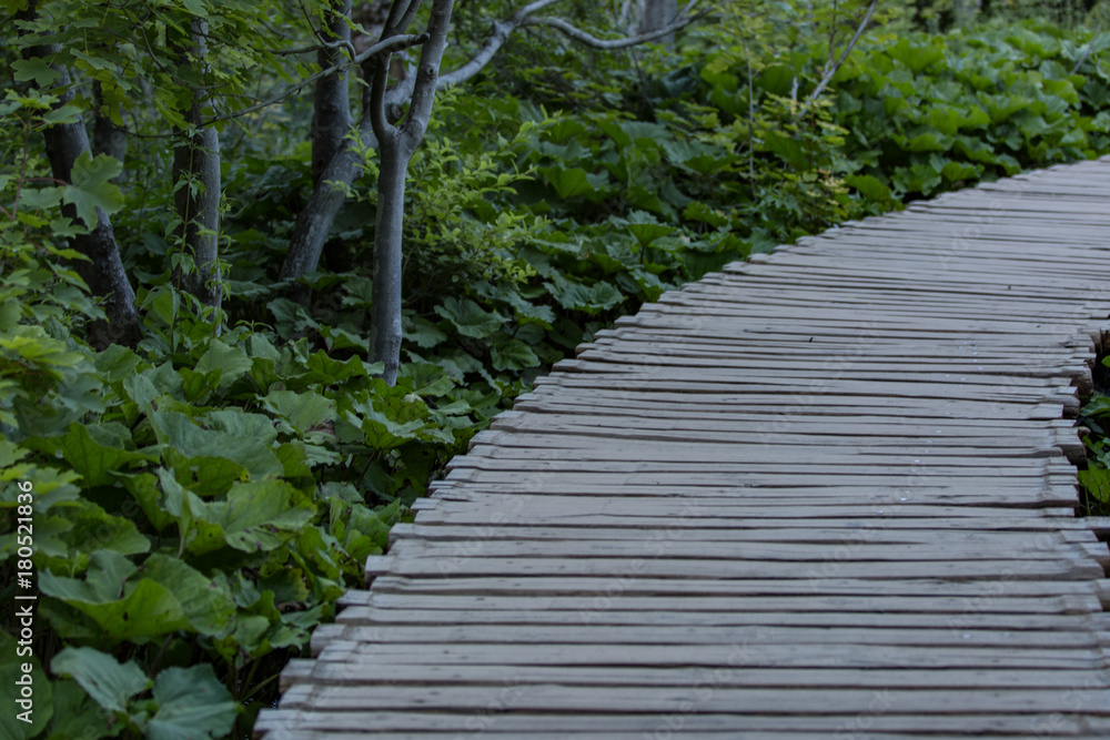 Obraz premium Plitvice, Croatia
