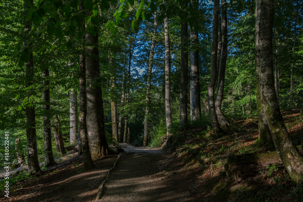 Obraz premium Plitvice, Croatia