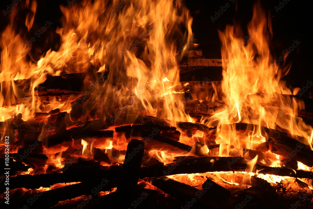 Fire was burning firewood with dark background Fire was burning firewood with dark background