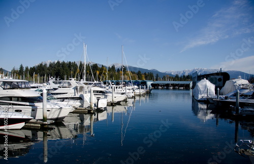 Marina at Coal harbour on a sunny morning - 2