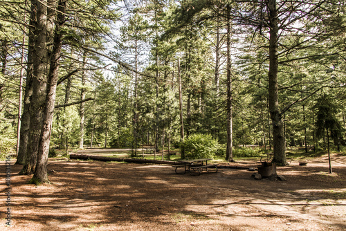 empty tent camper Campground Lake of two rivers Algonquin National Park Beautiful natural forest landscape Canada