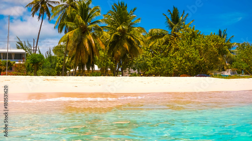 The tropical beach  Barbados  Caribbean