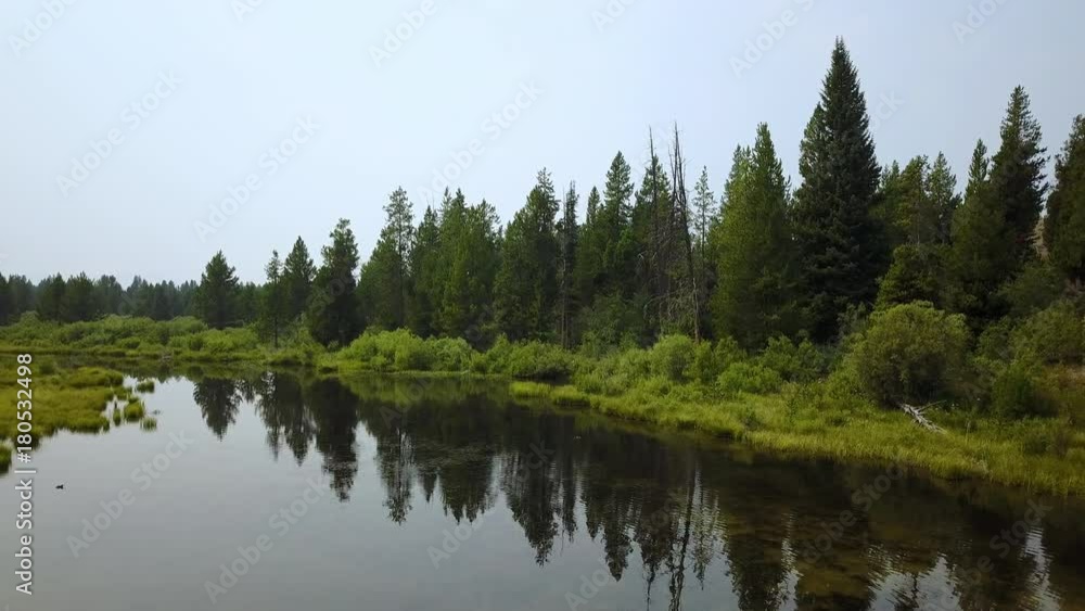 Reflection of pinetrees on smokey day slowly flying towards trees. Reflection of pinetrees on smokey day slowly flying towards trees.