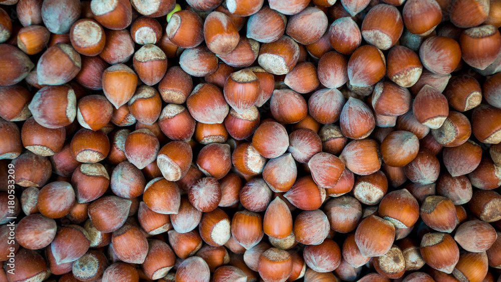 Hazelnuts. Food background. Stack of hazelnuts. Hazelnut background Hazelnuts. Food background. Stack of hazelnuts. Hazelnut background