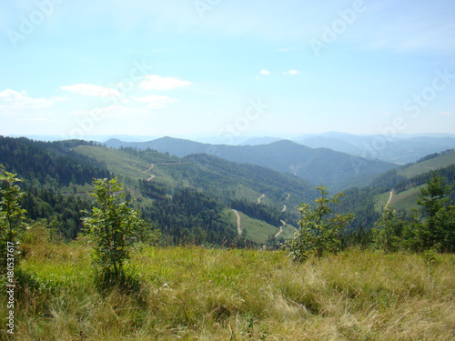 Green mountain landscape of the Carpathians against the blue sky. © Dmitry