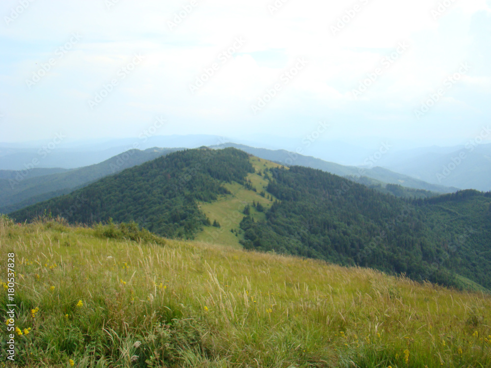 Green mountain landscape of the Carpathians against the blue sky.