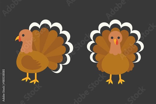 turkey in  front and side view, flat design illustration