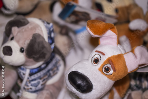 Photography lots of soft doggie toys close