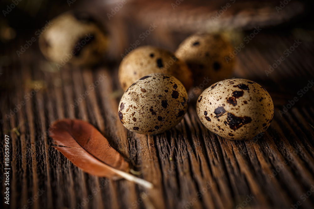 Quail eggs with feather on a rustic wooden table Quail eggs with feather on a rustic wooden table