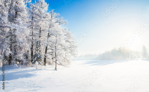 Winter park © Alexander Ozerov
