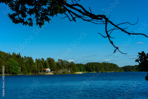 Pretty water picture in Sweden with the moon in the upper right corner and some branches in the foreground to give the picture a fantastic depth of field. Clear blue water and sky.           