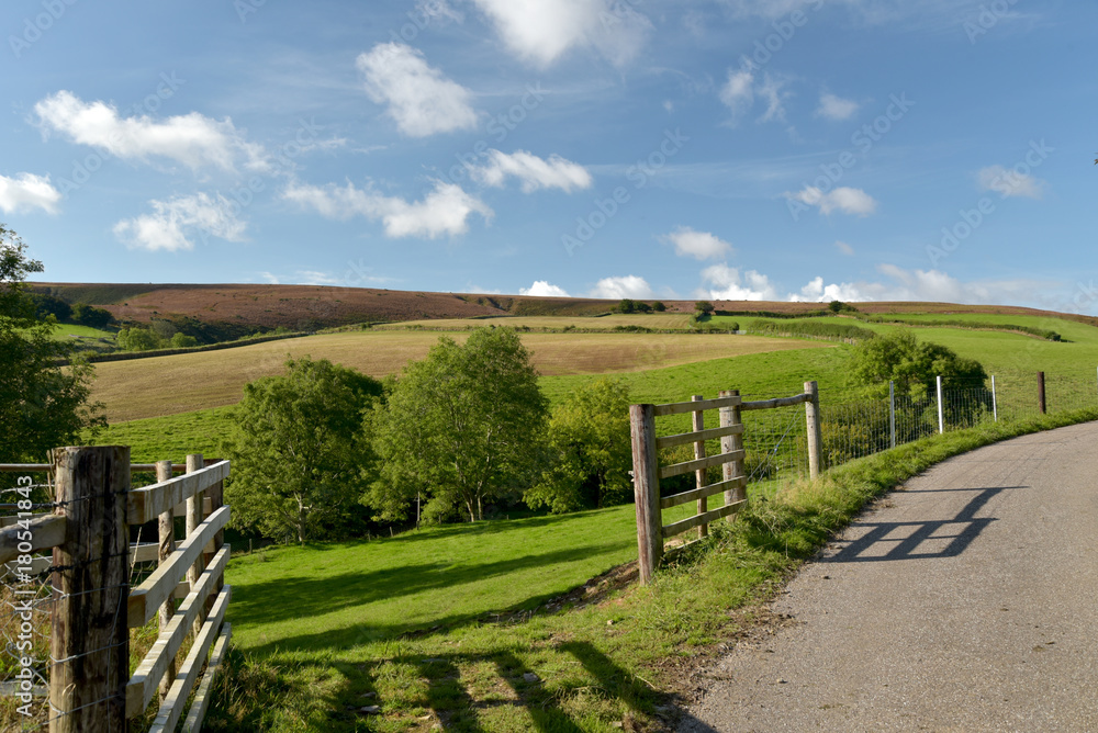Fototapeta premium Moorland above Doone Valley, Exmoor, North Devon