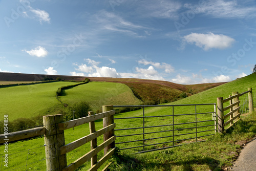 Moorland above Doone Valley, Exmoor, North Devon