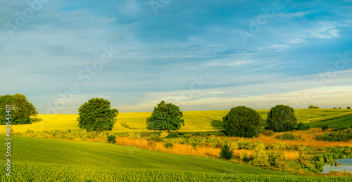 spring, green field-panorama © Mike Mareen