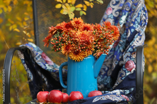 Bright composition of chrysanthemums in an autumn garden.
