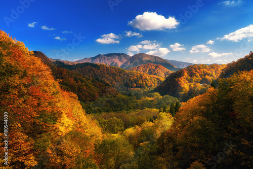 Autumn colorful mountain in Tohoku, Japan photo