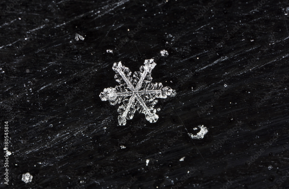 natural snowflakes natural snowflakes