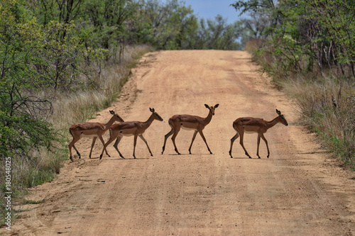 South Africa