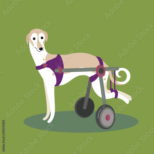 Set of handicapped disabled dogs