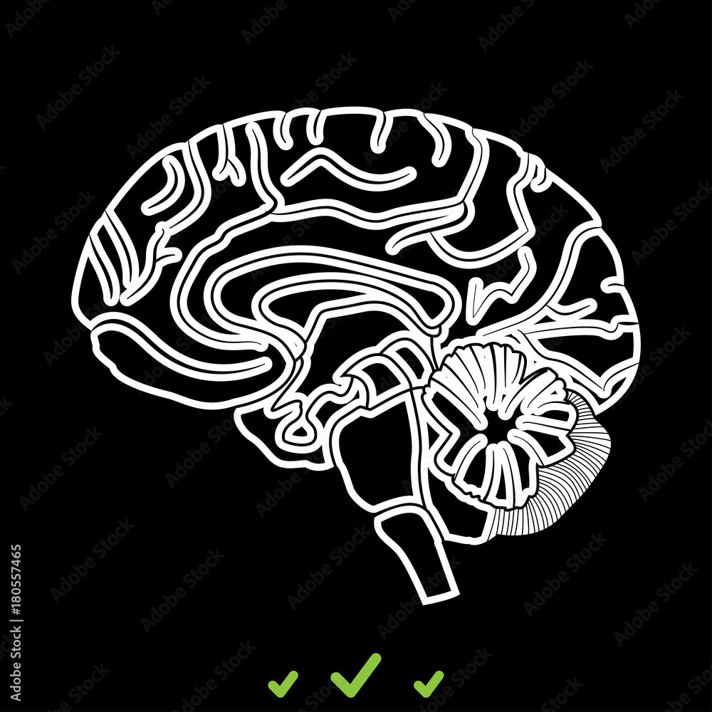 Brain it is white icon . Brain it is white icon .
