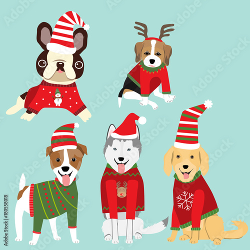 Dogs in Christmas sweater celebret for winter greeting season.illustration.EPS10.