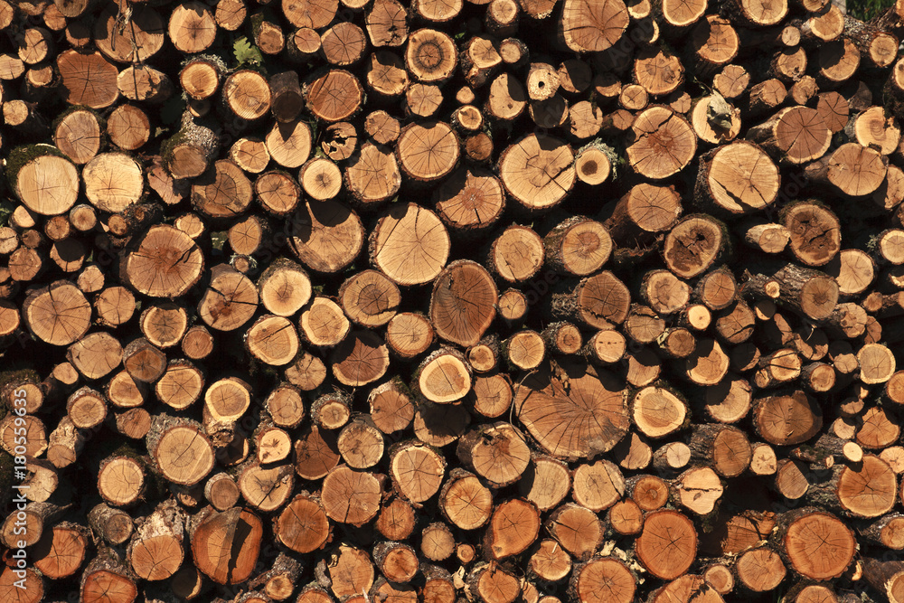 Background of cracked old wooden trunk with age rings stacked to dry in a pile outdoors Background of cracked old wooden trunk with age rings stacked to dry in a pile outdoors