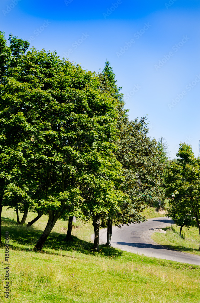 Road in the background of beautiful Carpathian mountains. Summer season