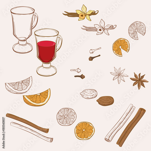 Mulled Wine and spices, orange, apple, cinnamon, carnation, anise, vanilla, clove, ginger. Hand drawn vector Illustration. Set in sketch style. Classical winter drink.