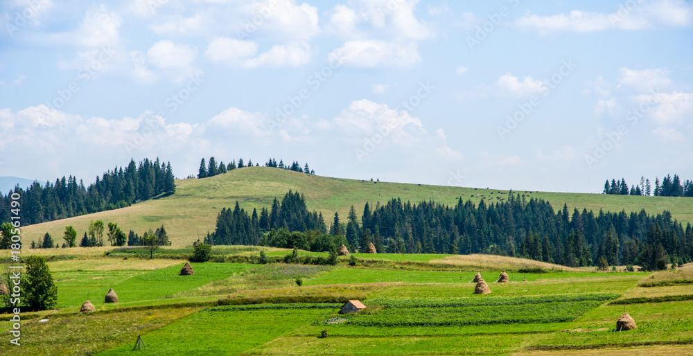 Haystacks on a background of green beautiful Carpathian mountains