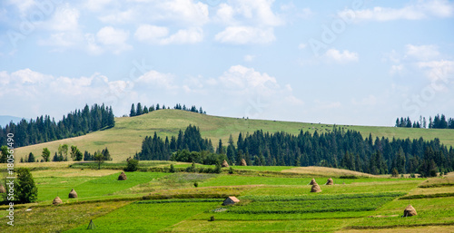 Haystacks on a background of green beautiful Carpathian mountains