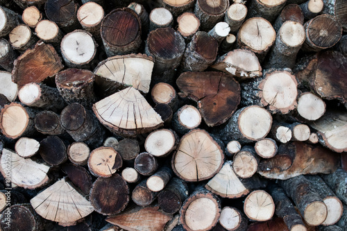wood logs cut with the visible grain. Wood for winter with different types of wood