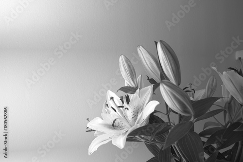 abstract of a bunch of lillys in black and white