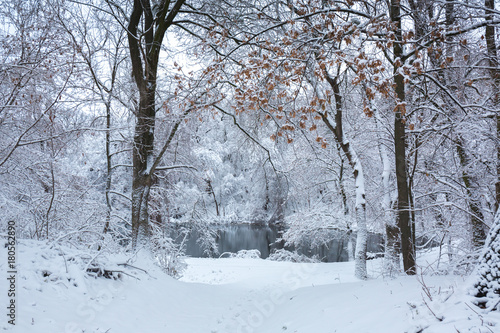 Quiet lake in the winter forest © Mallivan