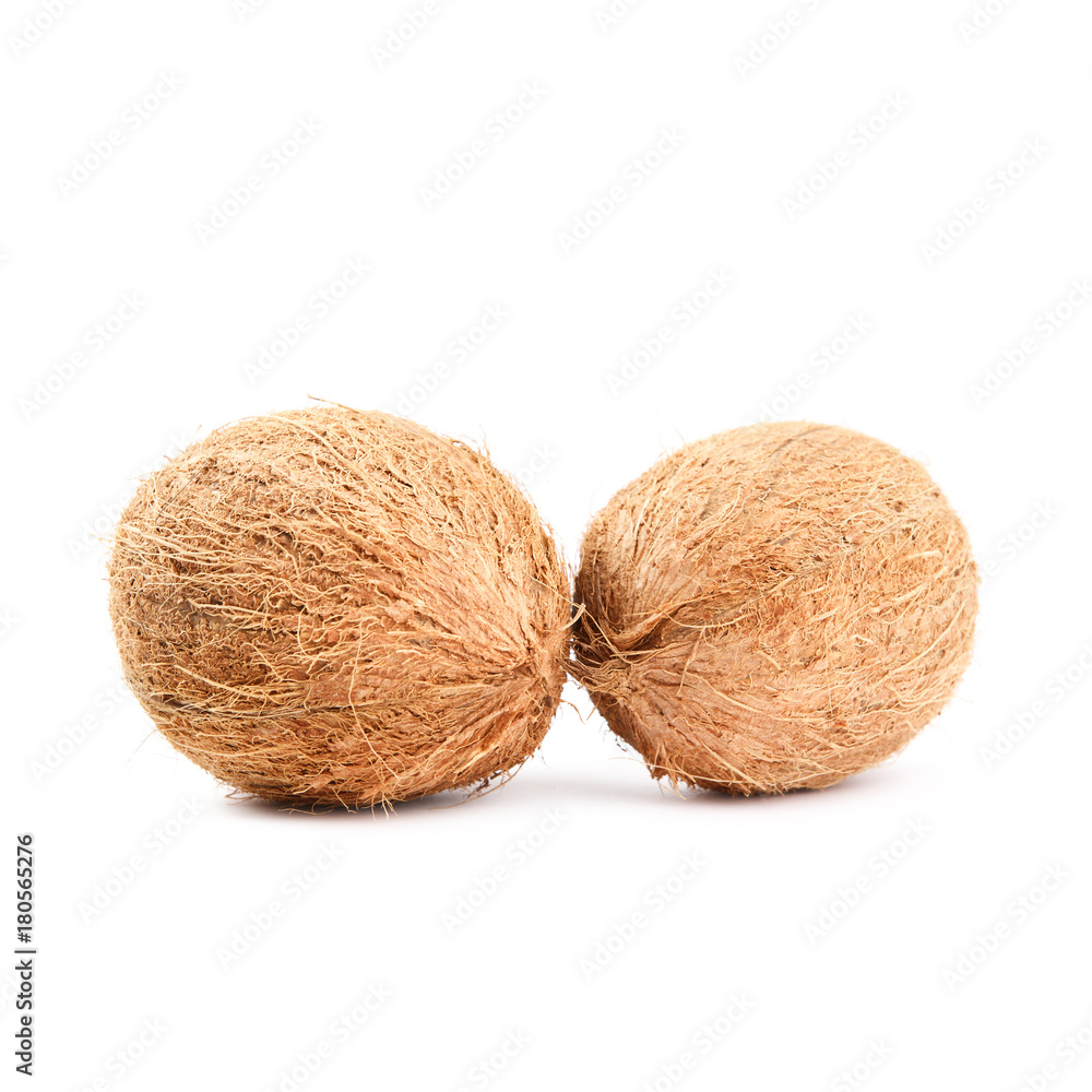 Two whole coconuts isolated on white background. Two whole coconuts isolated on white background.